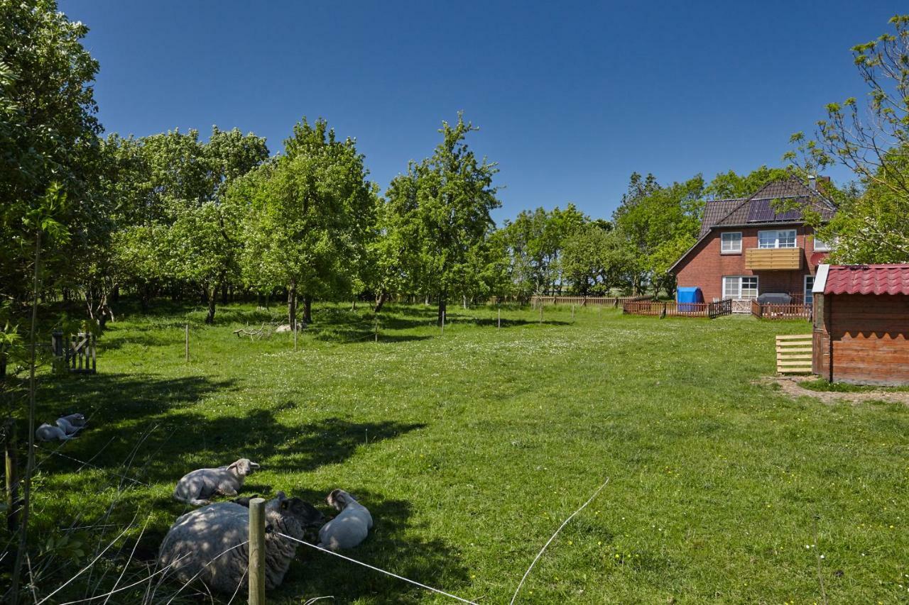 Fewo Auf Dem Lande / Nahe Spo Tumlauer Koog Esterno foto